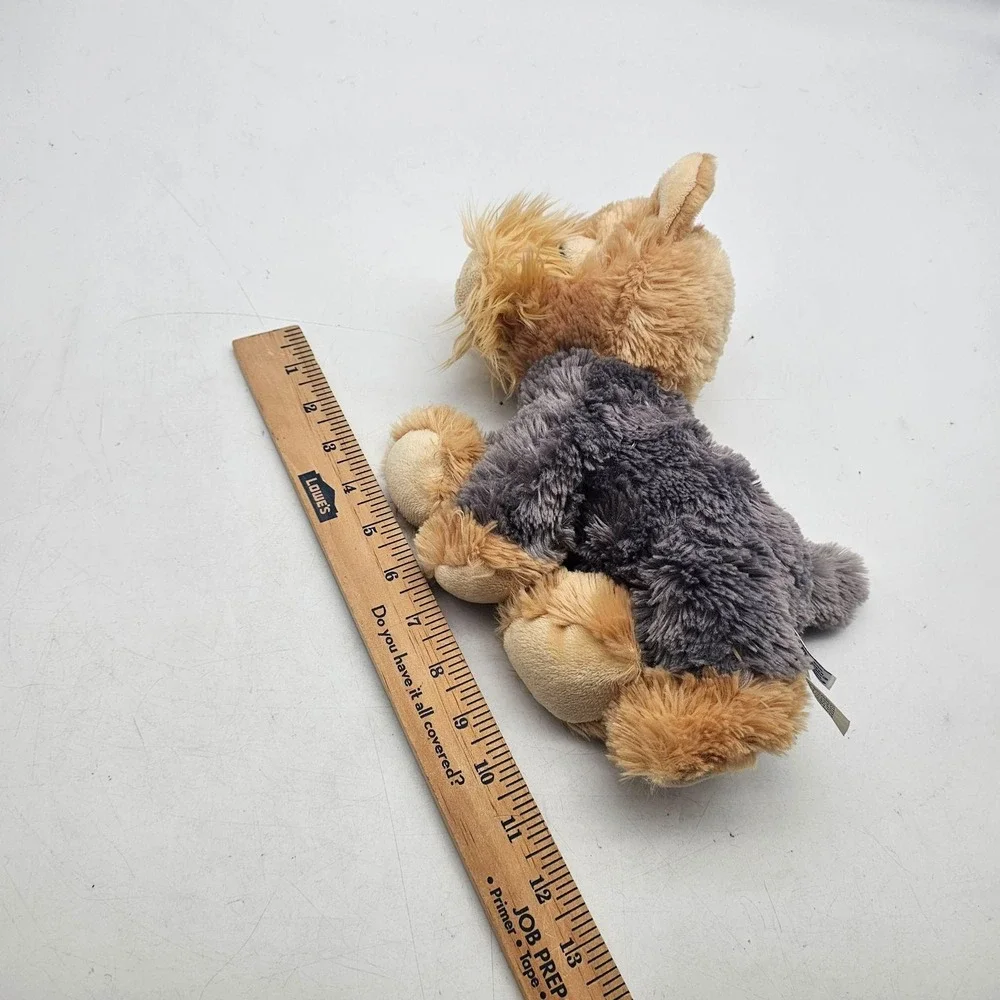 Aurora yorkie dog